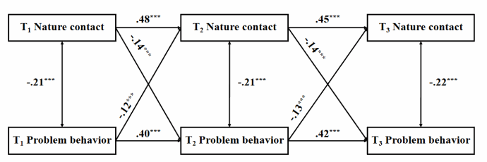 image.gif