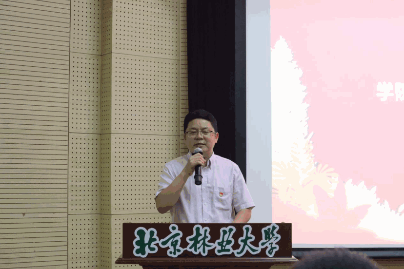 image.gif